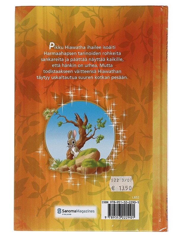 Hiawatha ja suuri kotka - Kärkkäinen, Katja - Lastenkirjat - 10105460276 - 1