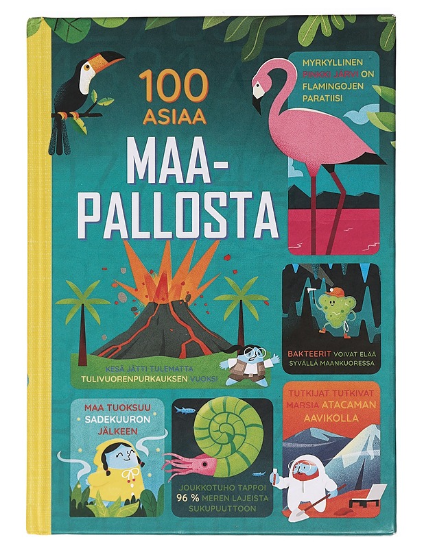 100 asiaa maapallosta - Martin, Jerome - Lastenkirjat - 10105460289 - 0