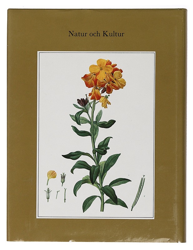 Brev om blommorna : till ma chère cousine - Jean-Jacques Rousseau - Tietokirjat ja oppaat - 10105460864 - 1