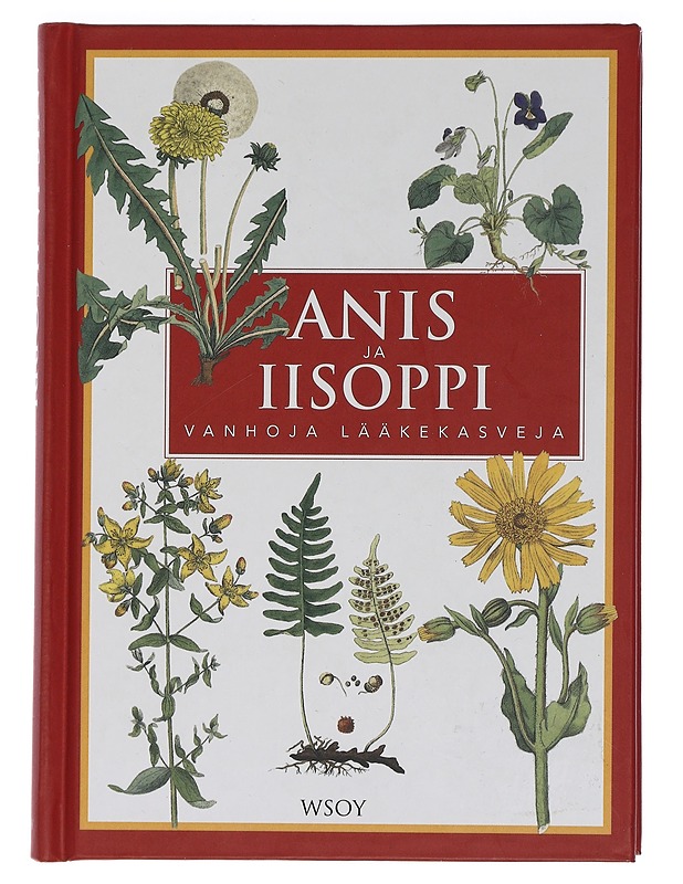 Anis ja iisoppi : vanhoja lääkekasveja - Bruun, Erik - Tietokirjat ja oppaat - 10105460882 - 0