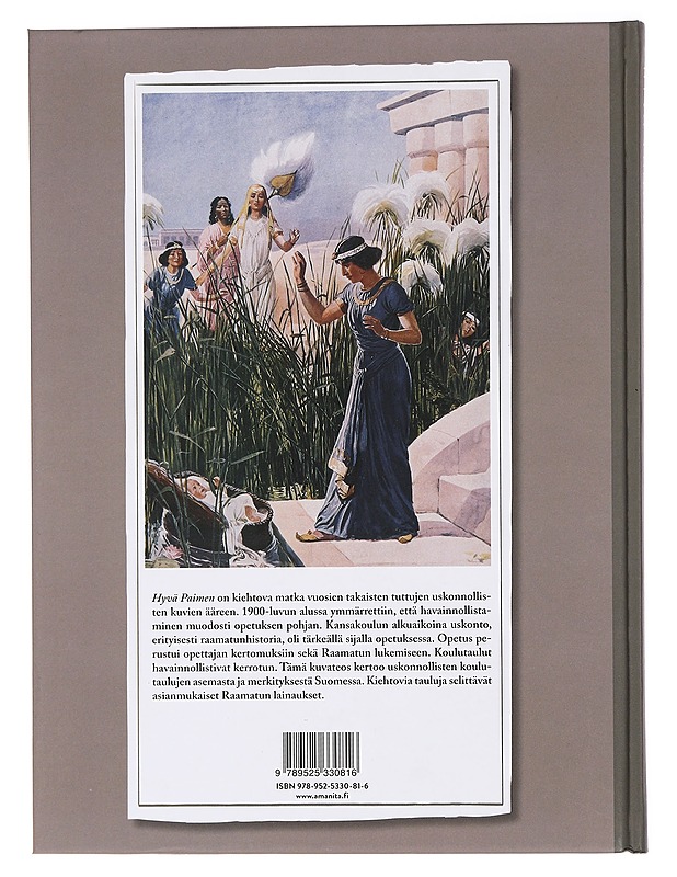 Hyvä Paimen : uskonnolliset opetustaulut - Savikko, Sari - Historiakirjat - 10105460930 - 1