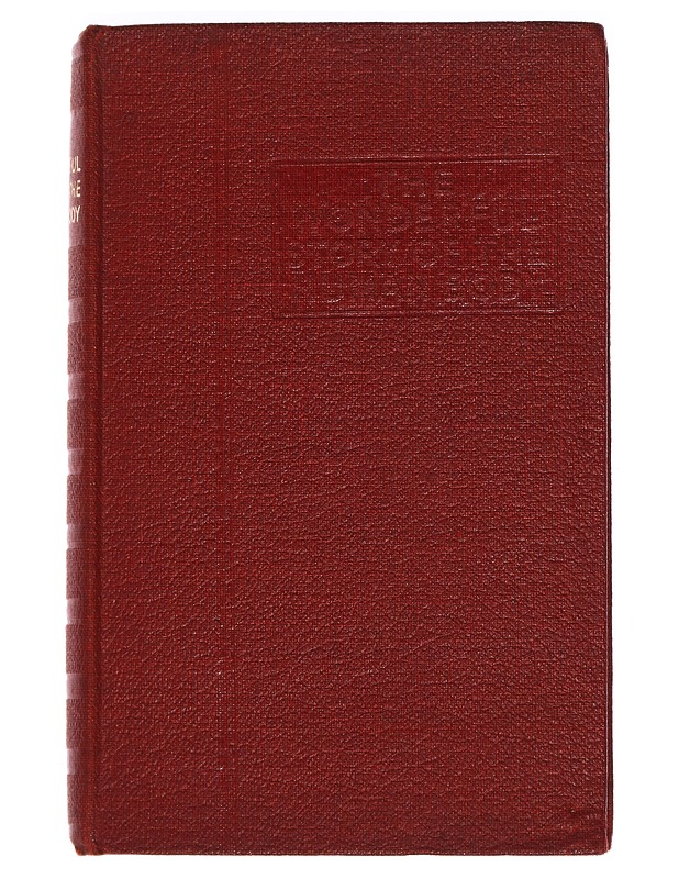 The wonderful story of the human body  - Tietokirjat ja oppaat - 10105461217 - 0