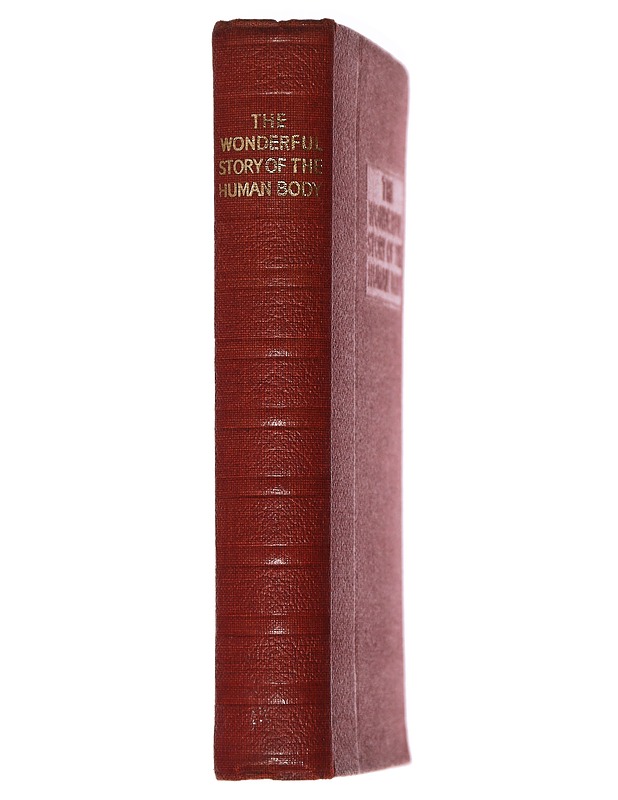 The wonderful story of the human body  - Tietokirjat ja oppaat - 10105461217 - 1