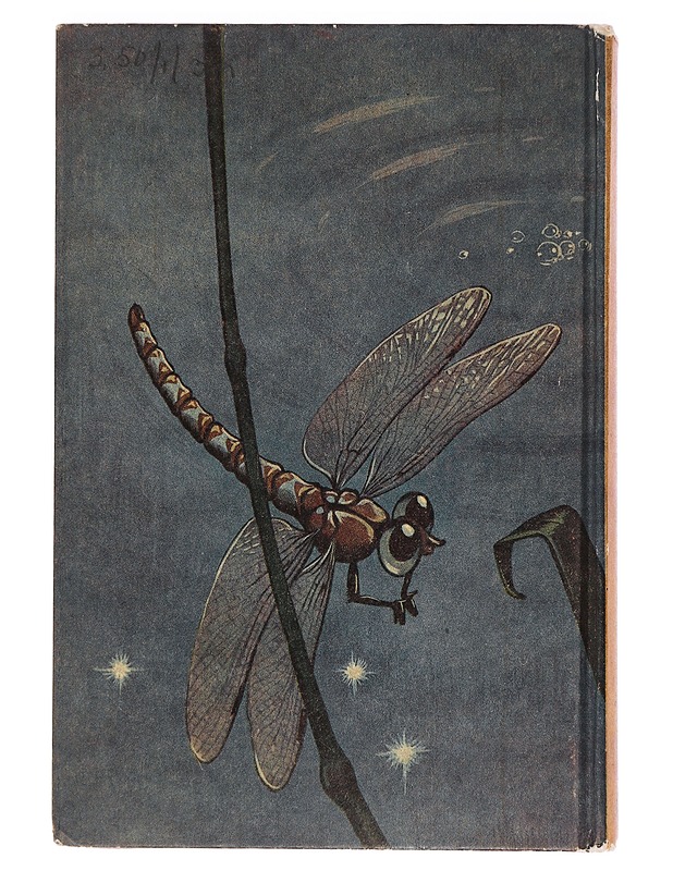 Maija Mehiläinen - Waldemar Bonsels - Lastenkirjat - 10105461377 - 1