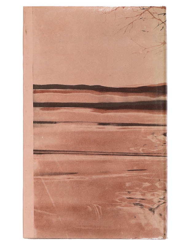 Ikuisuuden laki - Nodar Dumbadze - Romaanit ja novellit - 10105461397 - 1