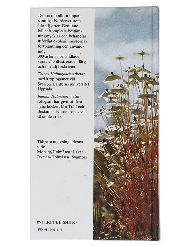 Mossor : en fälthandbok - Hallingbäck, Tomas - Romaanit ja novellit - 10105461860 - 1