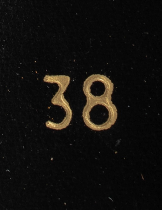 ANDIAMO mokkasaappaat - Naisten nilkkurit ja saappaat - 10105461893 - 2