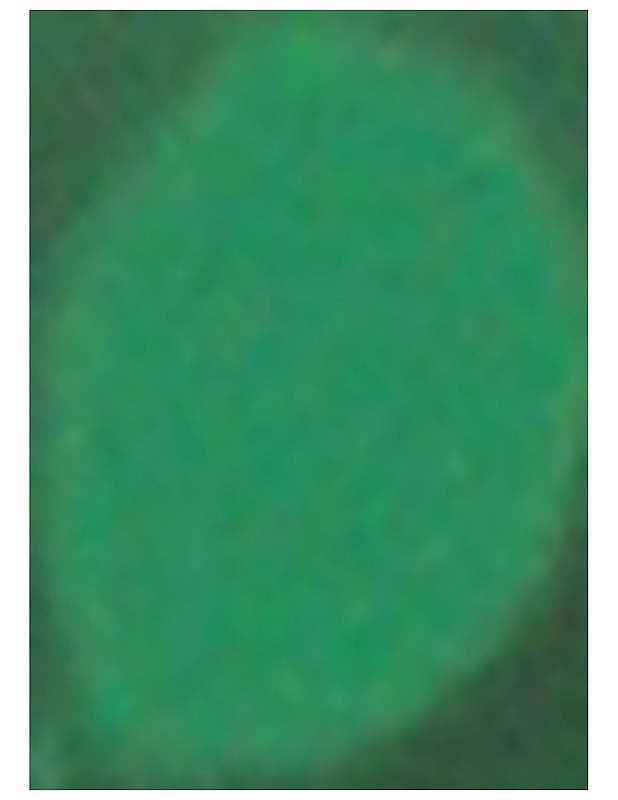 Kultti - Läckberg, Camilla - Jännitys ja dekkarit - 10105461920 - 1