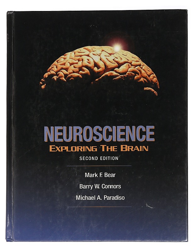 Neuroscience : exploring the brain - Bear, Mark F. - Tietokirjat ja oppaat - 10105461935 - 0