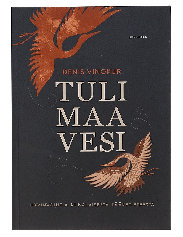 Tuli, maa, vesi : hyvinvointia kiinalaisesta lääketieteestä - Vinokur, Denis - Tietokirjat ja oppaat - 10105462226 - 0