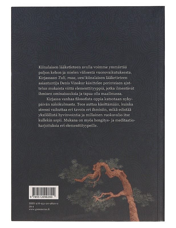 Tuli, maa, vesi : hyvinvointia kiinalaisesta lääketieteestä - Vinokur, Denis - Tietokirjat ja oppaat - 10105462226 - 1