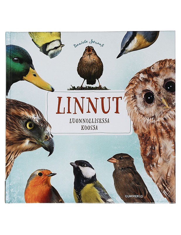 Linnut luonnollisessa koossa - Strauss, Daniela - Tietokirjat ja oppaat - 10105462307 - 0