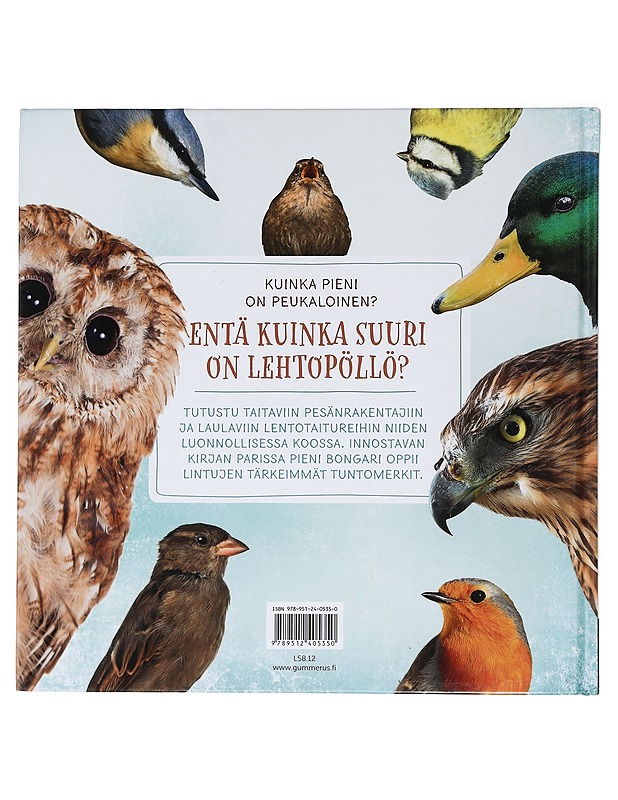 Linnut luonnollisessa koossa - Strauss, Daniela - Tietokirjat ja oppaat - 10105462307 - 1