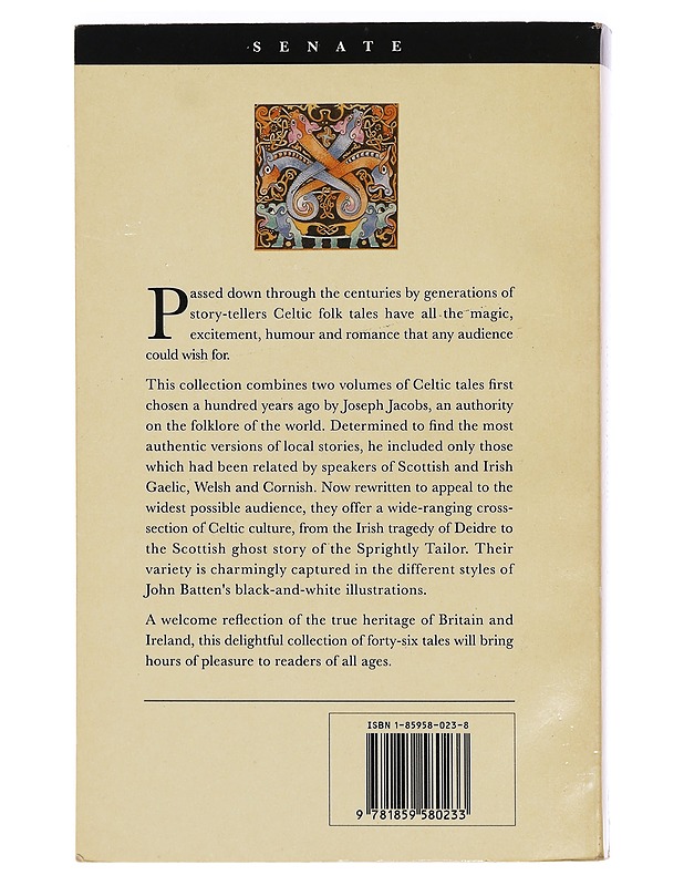 Celtic Fairy Tales - Joseph Jacobs - Romaanit ja novellit - 10105462763 - 1