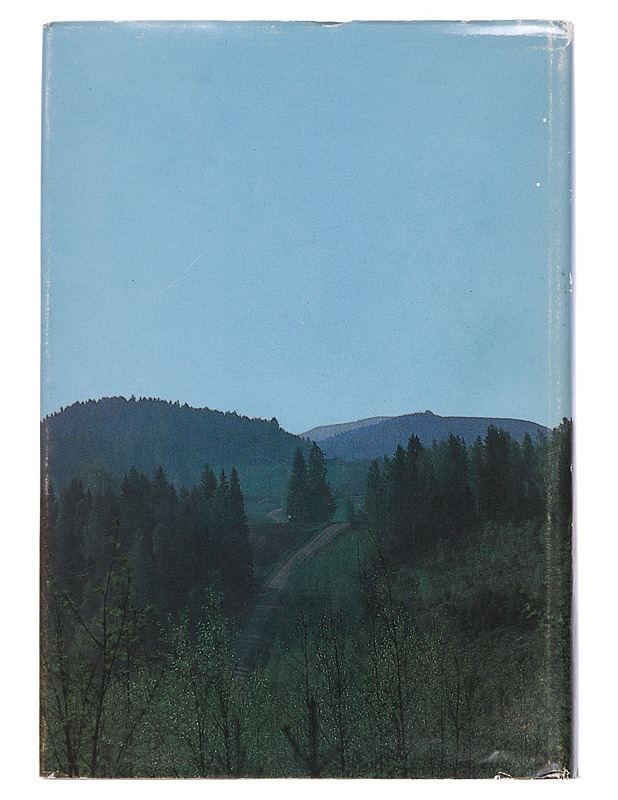 Etesmutkaisia matkoja Kiihtelysvaaran menneisyyteen - Noponen, Sisko - Historiakirjat - 10105462776 - 1