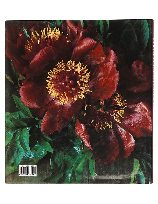 Medieval flowers - Innes, Miranda - Tietokirjat ja oppaat - 10105462935 - 1