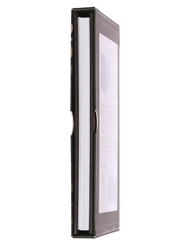 The thorn and the blossom : Elevyn's story : Brendan's story - Goss, Theodora - Kirja lahjaksi - 10105463002 - 2