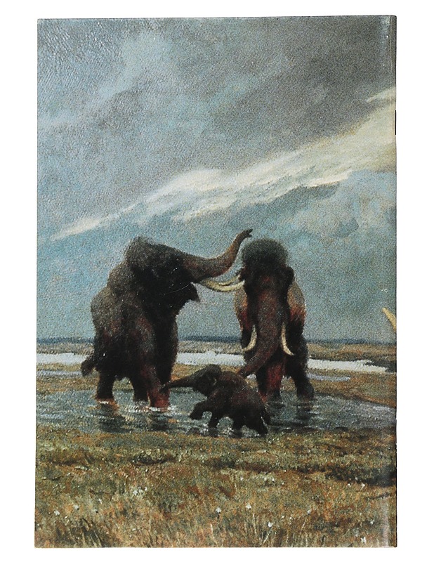 SUURI MAMMUTTINÄYTTELY - Tietokirjat ja oppaat - 10105463085 - 1