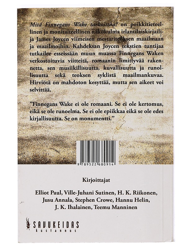 Mitä Finnegans Wake tarkoittaa? - Sutinen, Ville-Juhani - Historiakirjat - 10105463303 - 1