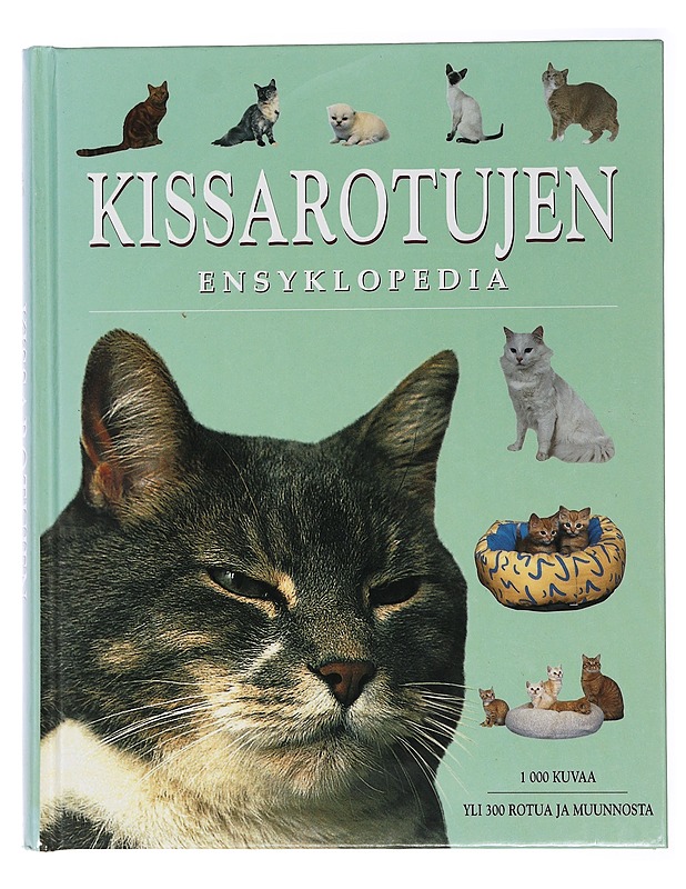 Kissarotujen ensyklopedia - Pollard, Michael - Harrastekirjat - 10105463413 - 0