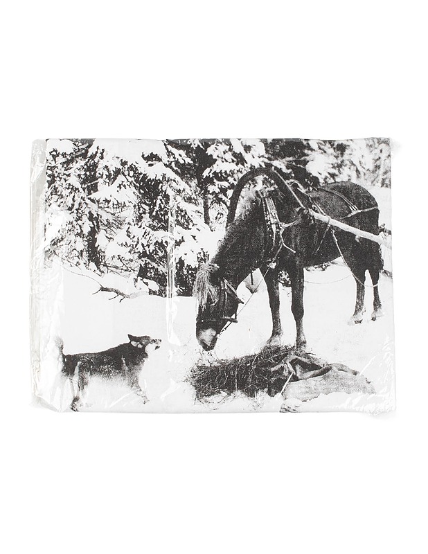 Tyynyliina, 55x65 cm - Liinavaatteet - 10105464161 - 0