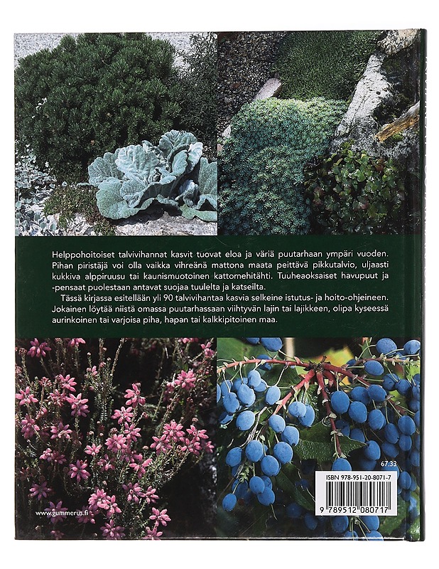Ikivihreät puutarhakasvit - Westerstål, Ulla-Märta - Tietokirjat ja oppaat - 10105464535 - 1