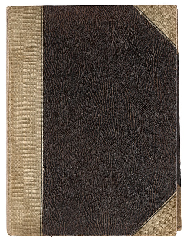 Kotiliesi vuosikerta 1924 - Lehdet - 10105464854 - 0