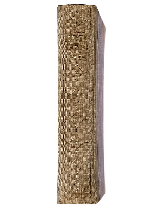 Kotiliesi vuosikerta 1924 - Lehdet - 10105464854 - 1