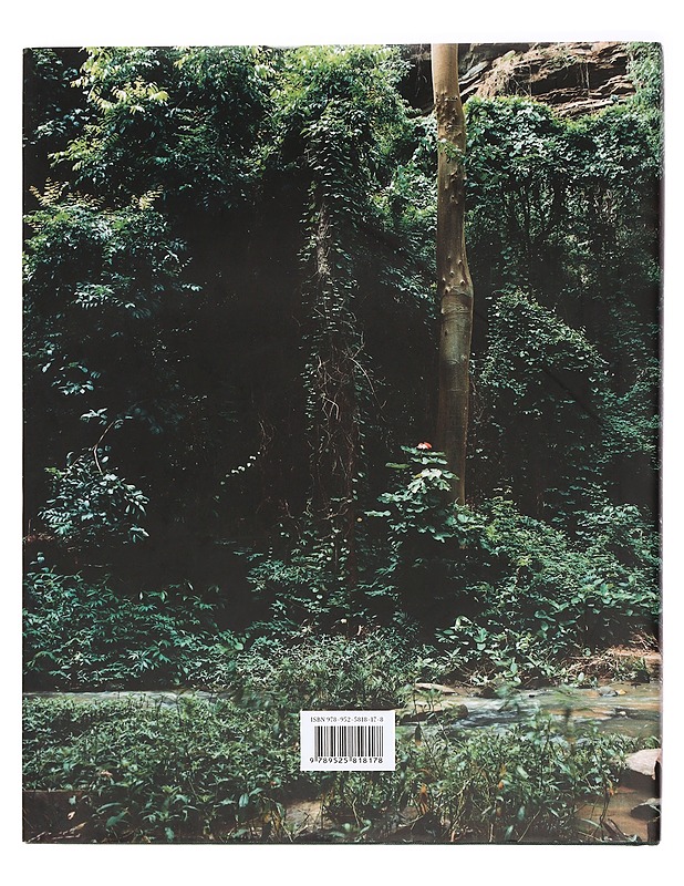 Kirjeitä tyttärelle - Kuukka, Raakel - Taide- ja kulttuurikirjat - 10105465231 - 1