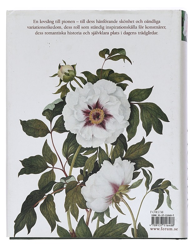 Pioner - Fearnley-Whittingstall, Jane - Tietokirjat ja oppaat - 10105465403 - 1