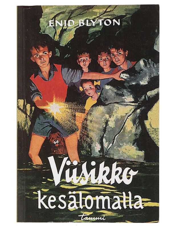 Viisikko kesälomalla - Blyton, Enid - Romaanit ja novellit - 10105465700 - 0