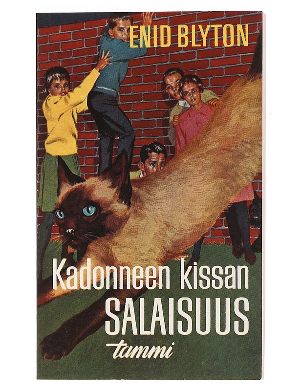 Kadonneen kissan salaisuus - Blyton, Enid - Romaanit ja novellit - 10105466001 - 0