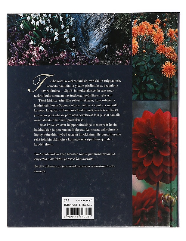 Sipulit & mukulat keväästä syksyyn - Månsson, Lena - Tietokirjat ja oppaat - 10105466271 - 1