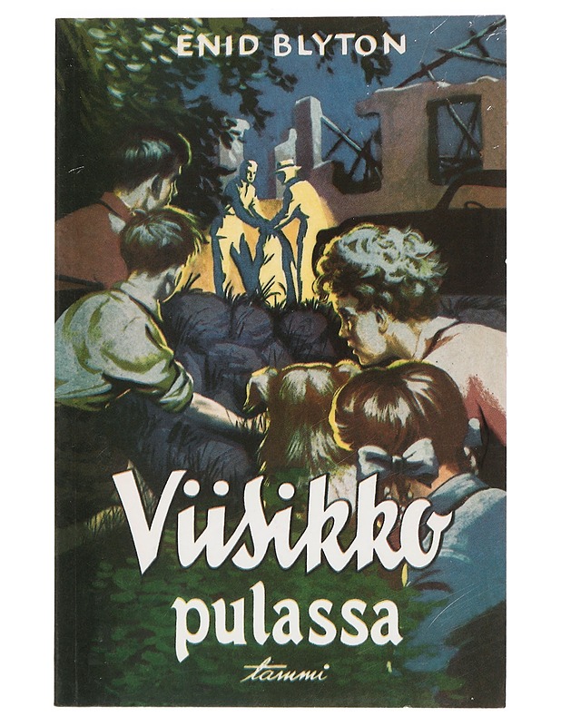 Viisikko ja linnan aarre - Blyton, Enid - Nuorten kirjat - 10105466282 - 0