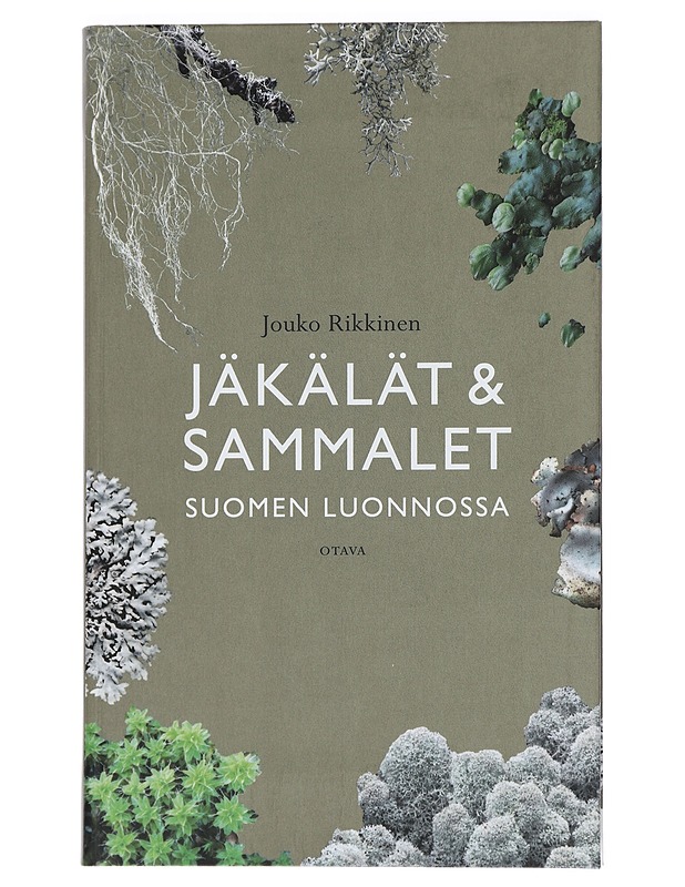 Jäkälät ja sammalet Suomen luonnossa - Rikkinen, Jouko - Tietokirjat ja oppaat - 10105466457 - 0