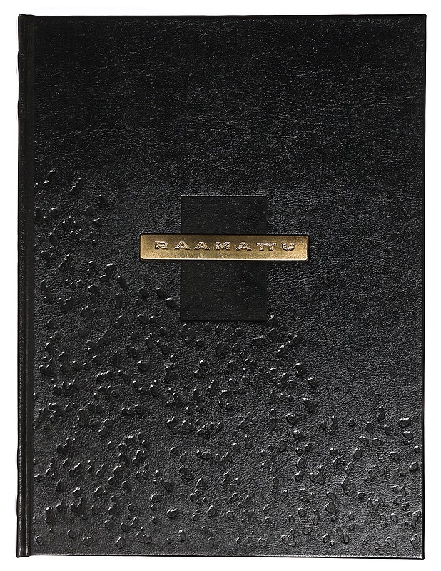 Perhe Raamattu - WSOY - Kirja lahjaksi - 10105466932 - 0