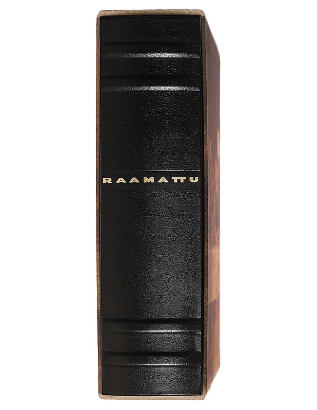 Perhe Raamattu - WSOY - Kirja lahjaksi - 10105466932 - 1