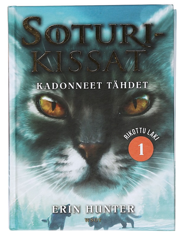 Soturikissat : Kadonneet tähdet - Hunter, Erin - Romaanit ja novellit - 10105467720 - 0
