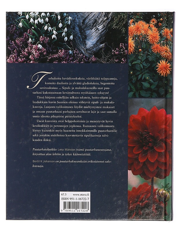 Sipulit & mukulat keväästä syksyyn - Månsson, Lena - Tietokirjat ja oppaat - 10105467828 - 1