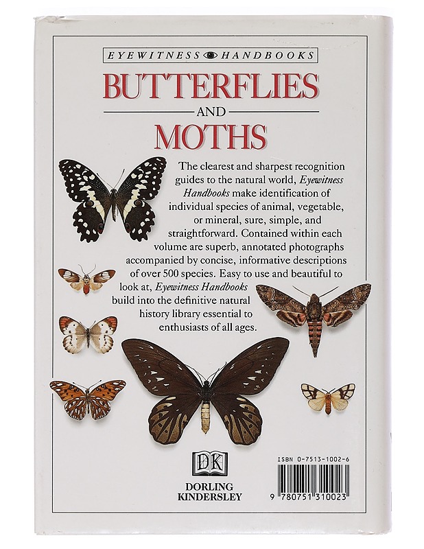 Butterflies and Moths - David Carter - Harrastekirjat - 10105468827 - 1