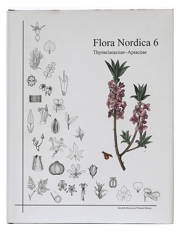 Flora Nordica 6: Thymelaeaceae-Apiaceae - Agestam, Magdalena - Tietokirjat ja oppaat - 10105468956 - 0