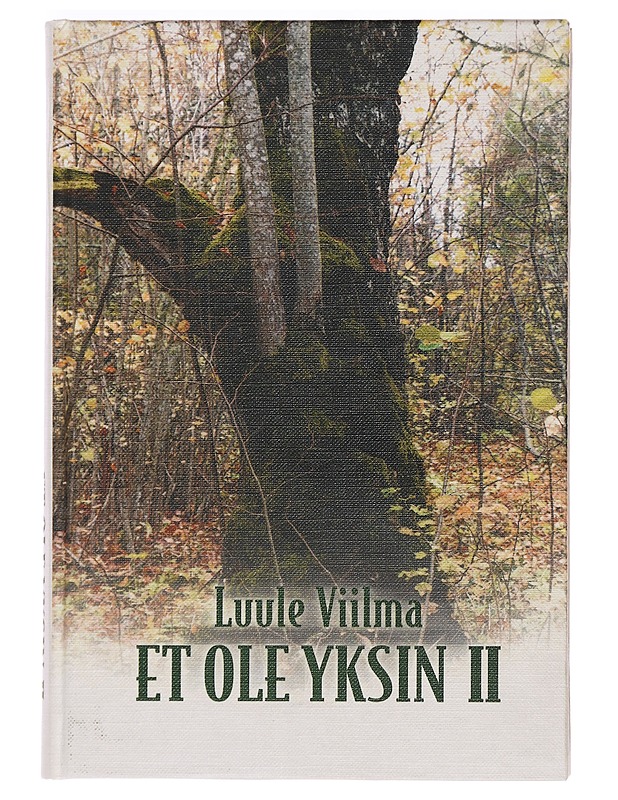 Et ole yksin 2 - Viilma, Luule - Hyvinvointikirjat - 10105468960 - 0