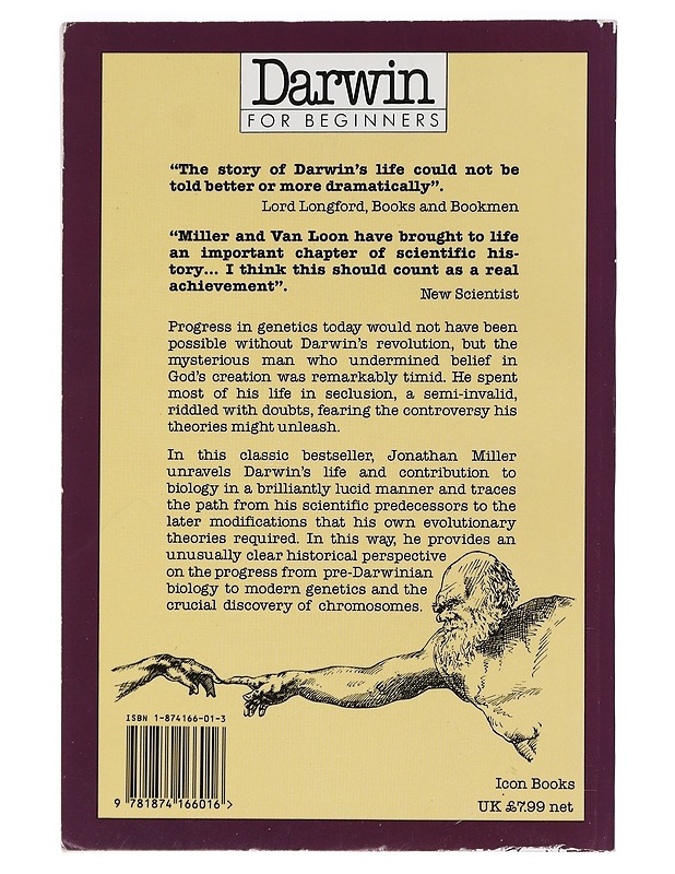 Darwin For Beginners - Miller, Jonathan - Tietokirjat ja oppaat - 10105469153 - 1