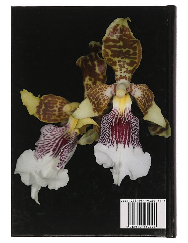 Gynostemia Orchidalium. 4 - Szlachetko, Darius L. - Tietokirjat - 10105469344 - 1