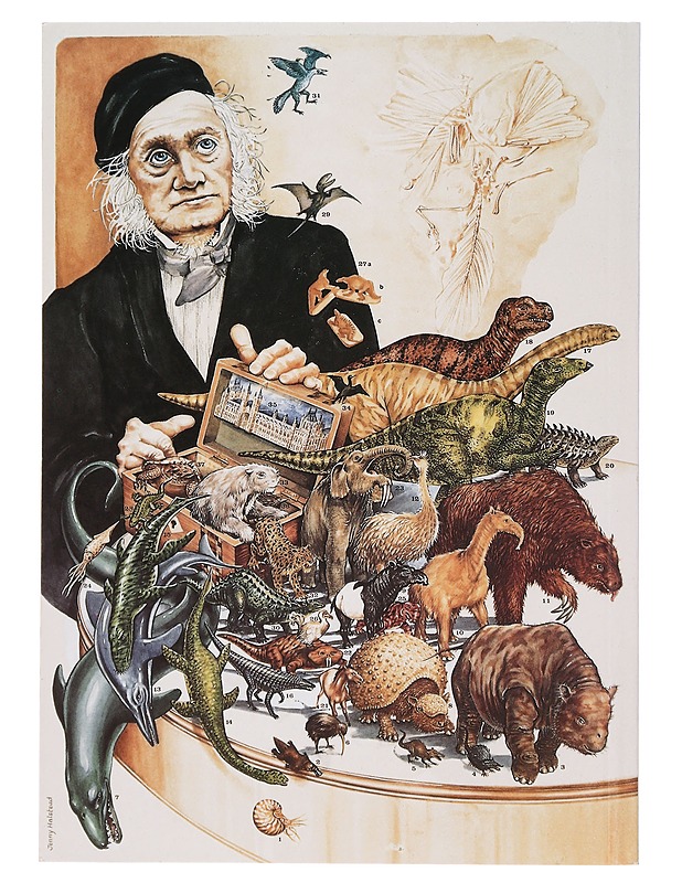 Dinosaur Stamps of the World - Baldwin, Stuart - Tietokirjat ja oppaat - 10105469390 - 1