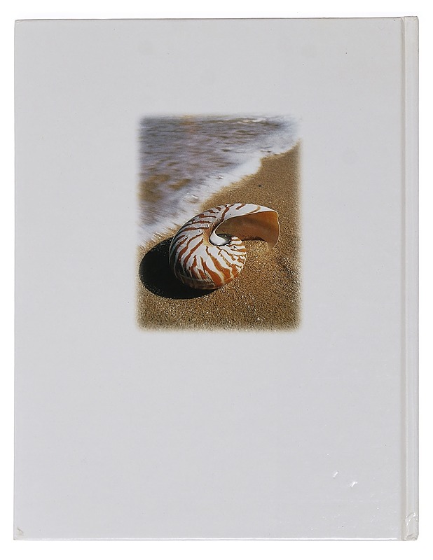 The world of seashells : a fully illustrated guide to these fascinating gifts from the ocean - Patrick Hook - Harrastekirjat - 10105469398 - 1