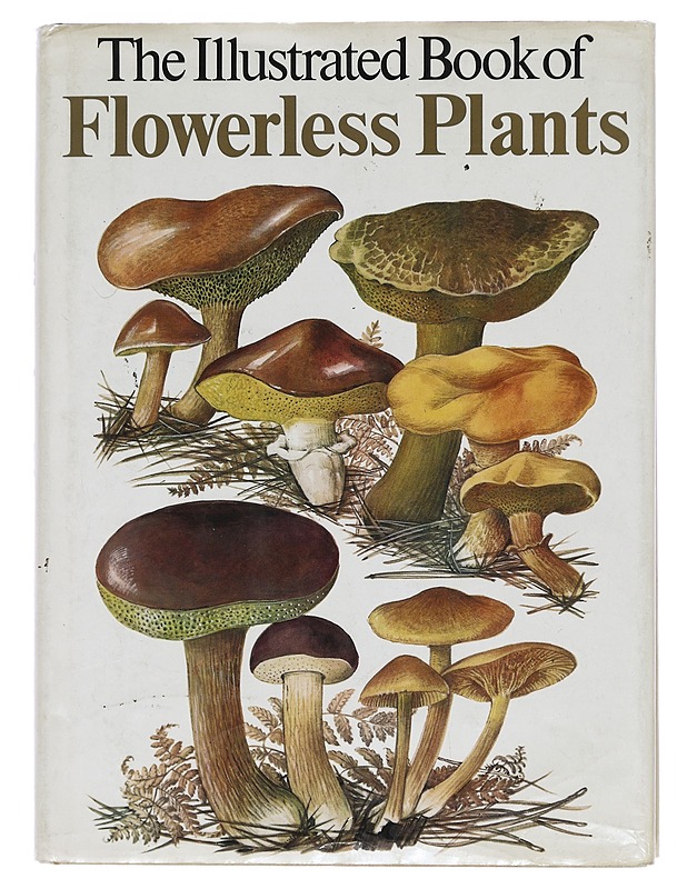 The Illustrated Book of Flowerless Plants - Frank H. Brightman  - Tietokirjat ja oppaat - 10105469496 - 0
