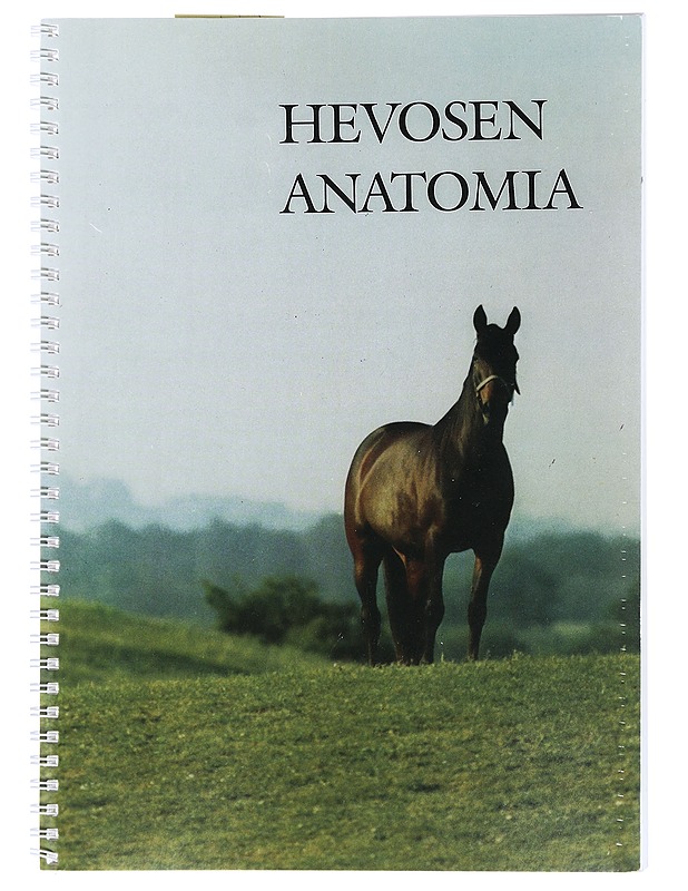 Hevosen anatomia - Sandgren, Björn - Tietokirjat ja oppaat - 10105469594 - 0