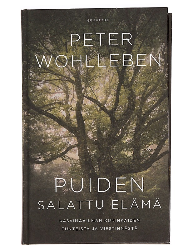 Puiden salattu elämä : kasvimaailman kuninkaiden tunteista ja viestinnästä - Wohlleben, Peter - Lemmikki- ja luontokirjat - 10105469618 - 0