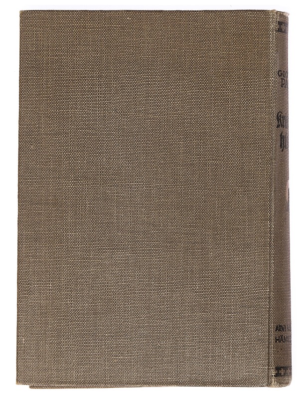 Kristuksen historia - Papini, Giovanni - Historiakirjat - 10105469666 - 1